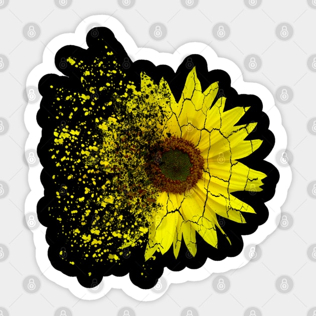 Sunflowers decay, disintegration, sunflower, splash Sticker by rh_naturestyles